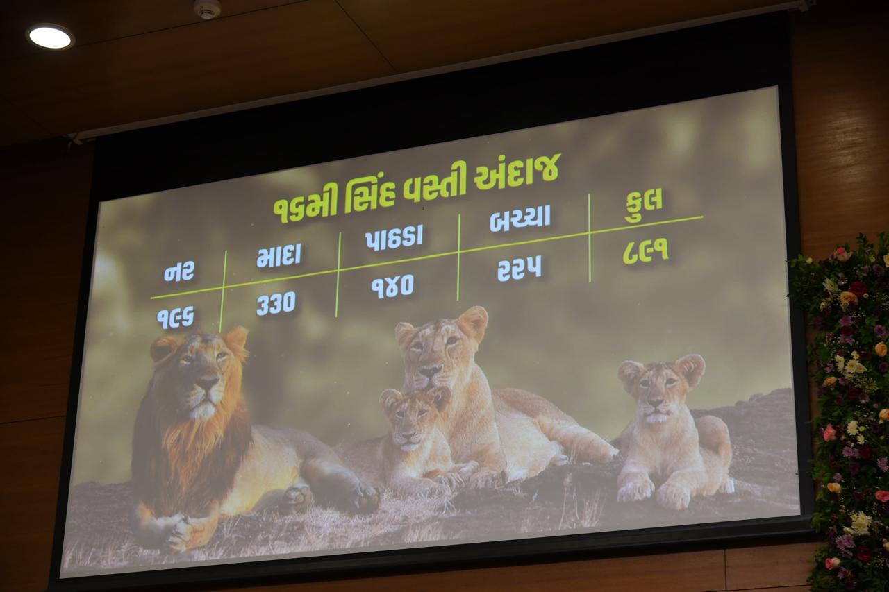 *એશિયાટિક લાયન – ગીરની શાન સાવજની સંખ્યા ૮૯૧ થઈ*