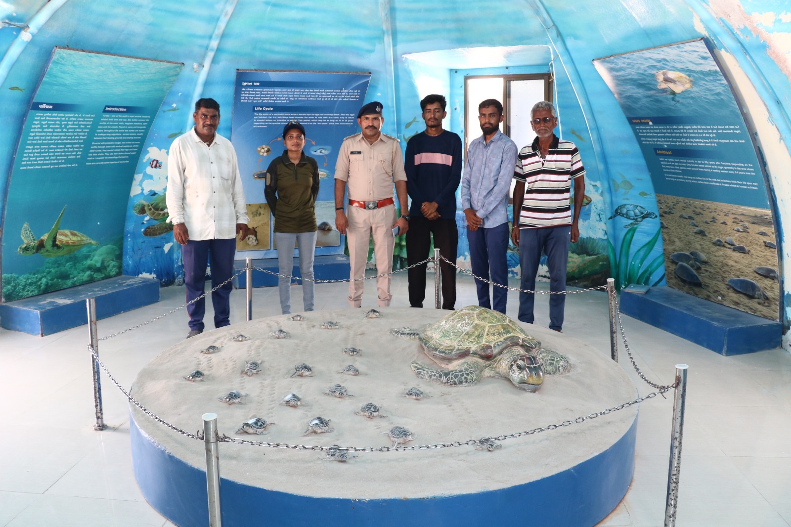 *દ્વારકા જિલ્લાનો દરિયા કાંઠો બન્યો લીલા અને ઓલિવ રીડલી કાચબાનું ‘પિયર‘*