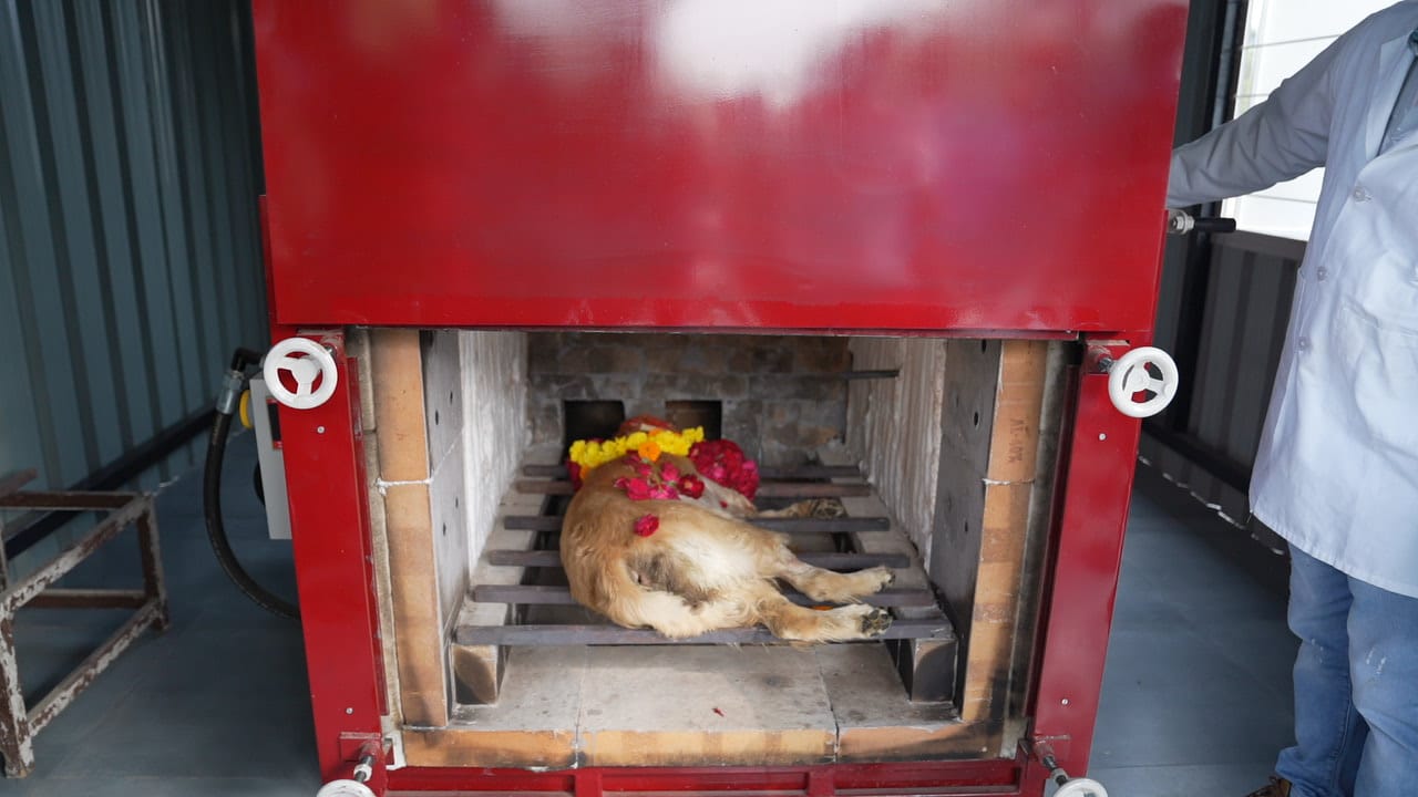 *પેટ ડોગ્સના અંતિમ સંસ્કાર માટે ગુજરાતમાં પ્રથમવાર સીએનજી આધારિત ડોગ ક્રિમેટોરિયમ કાર્યરત થયું*